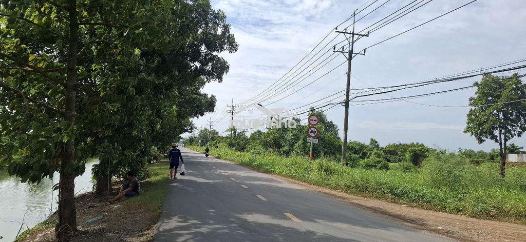 Bán đất đường trần đại nghĩa, bình chánh. dt 1700m² - 2