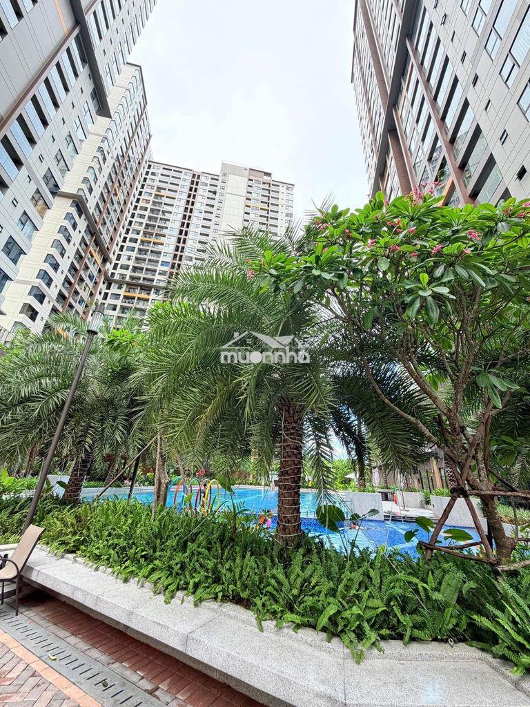 Cho thuê căn hộ ehome 3 - gió mát lồng lộng - Ảnh 2