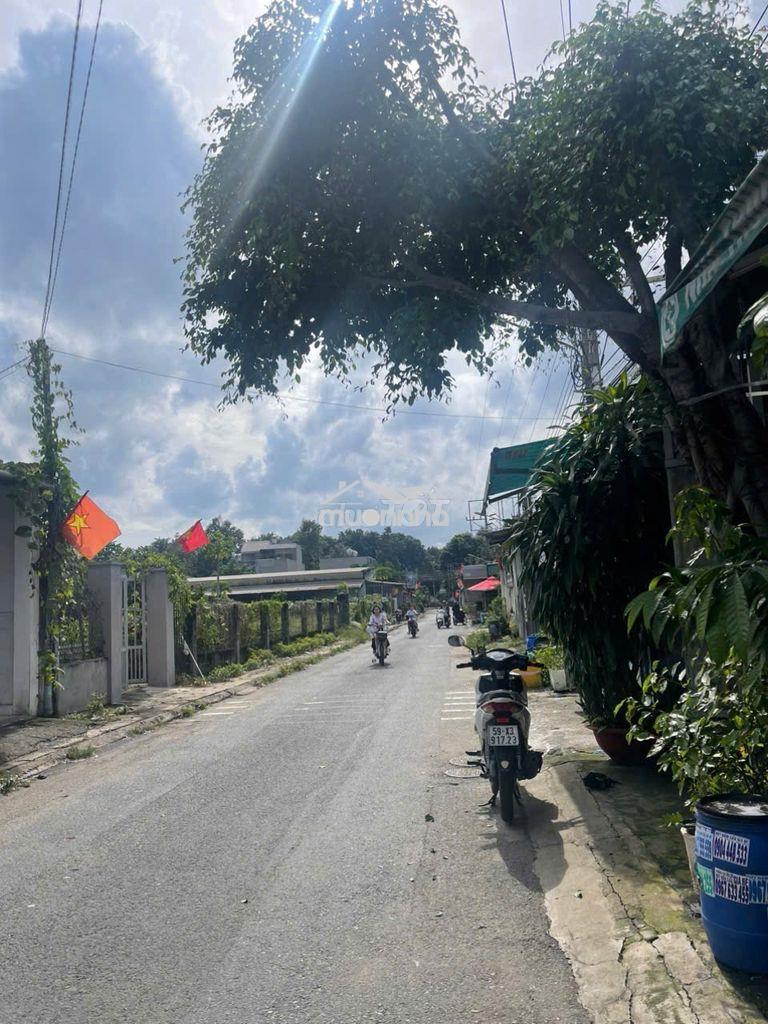 🔥 Cho thuê mặt tiền kinh doanh sầm uất - nguyễn công trứ, đông hòa 🔥 - Ảnh 2