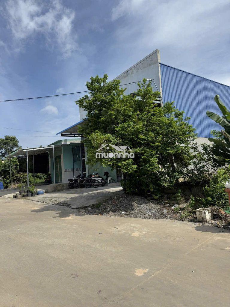 Cho thuê kho / xưởng – tân hiệp, tân uyên, bình dương - Ảnh 3