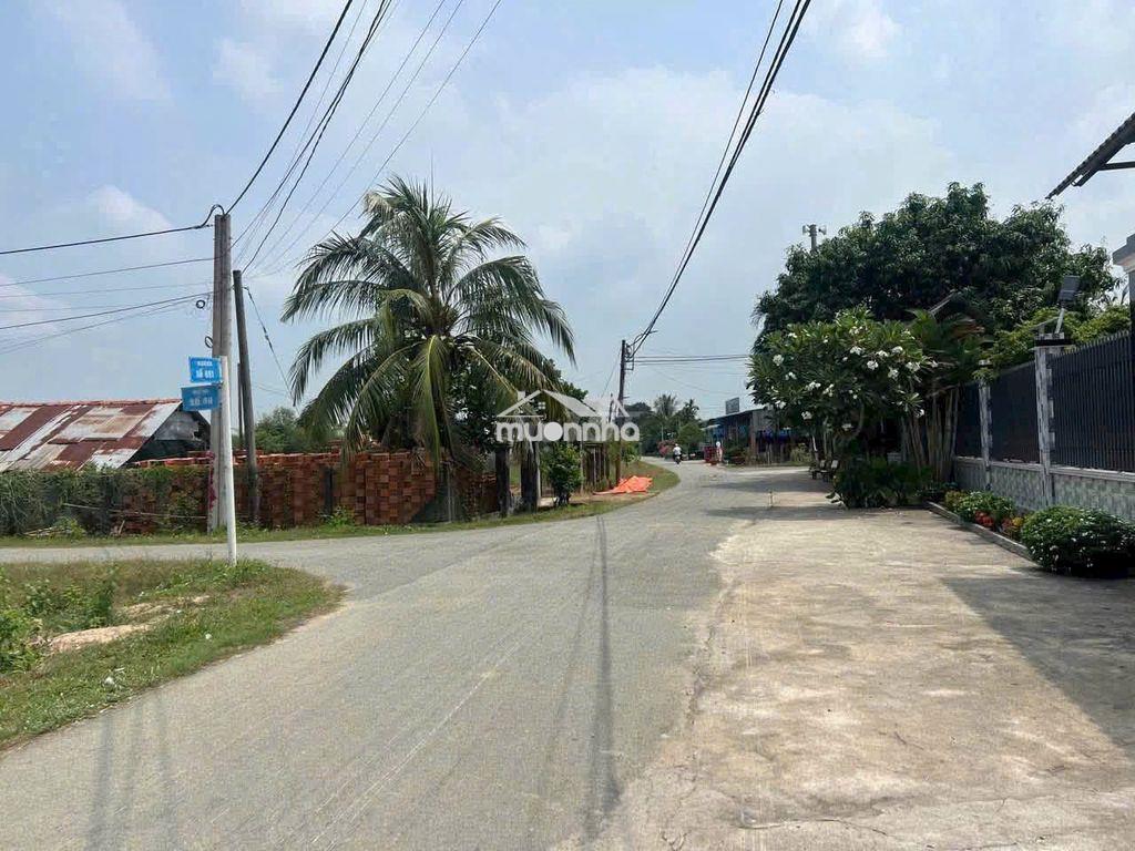 Ông anh cần bán 600m2 đất vườn sẵn thổ cư  đường ô tô tại củ chi - Ảnh 3