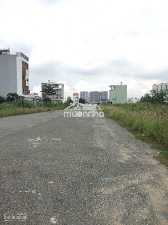 Giỏ hàng kdc sở văn hóa thông tin q9 diện tích 100m2 giá chỉ 6.9 tỷ - 2