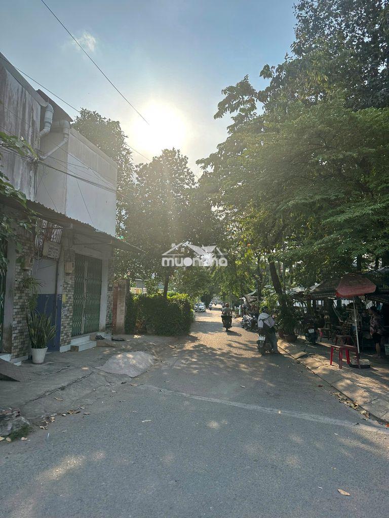 Mặt tiền đường số 8 – 156m² – ngay ql13 – có thể xây chdv – 7.3 tỷ - Ảnh 2