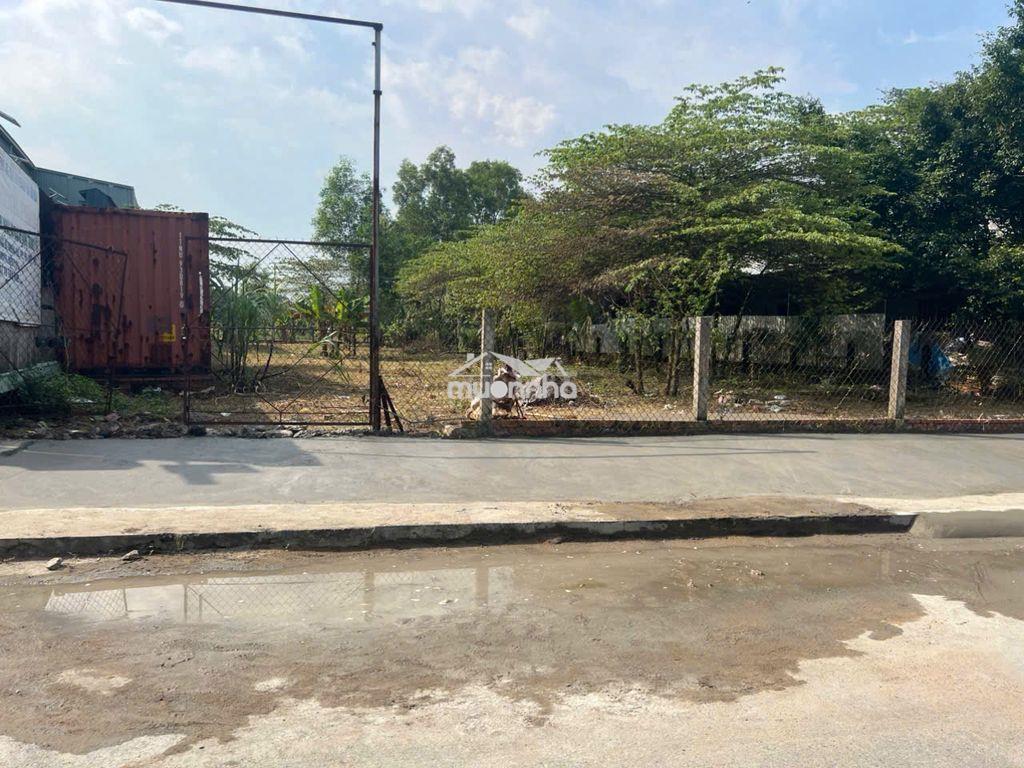 Bán đất 1561 m2 đường bảy tấn - sát dự án khu đô thị hưng long - Ảnh 2