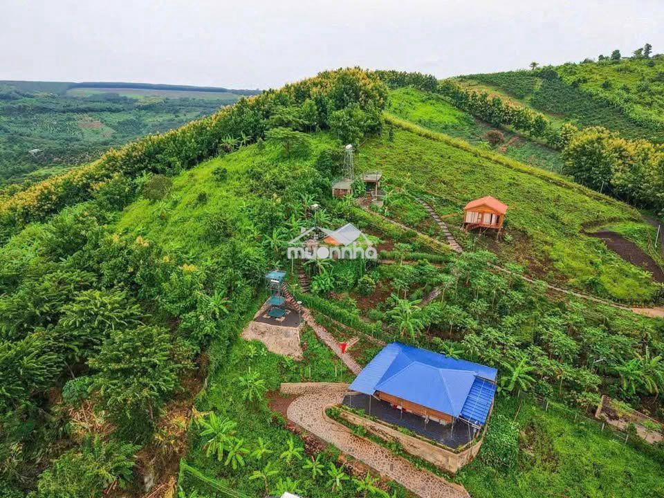 🌿 La ngà – 1.200m² đất vườn gần hồ trị an, chỉ 500 triệu - ht bank - Ảnh 3