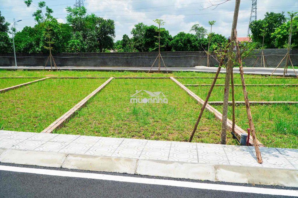 Cắt lỗ, bán gấp lô đất nền lạc thuỷ đường phân lô, gần khu vđai5 100m2 - Ảnh 4
