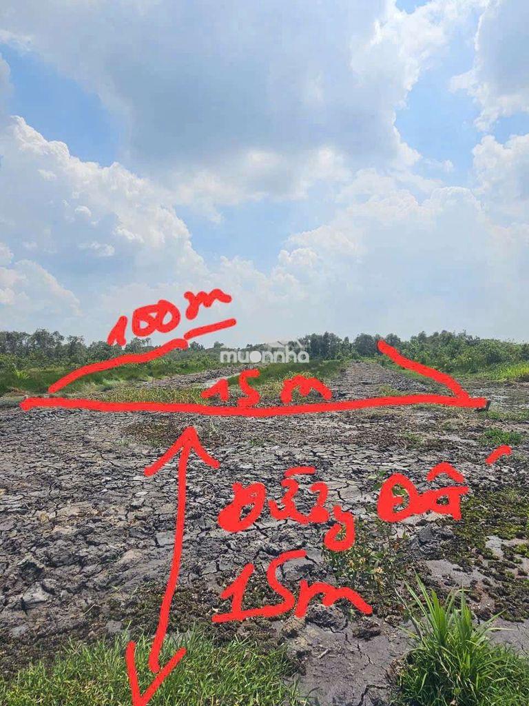 1.500m2 gần ub xã thái mỹ cũ - Ảnh 2