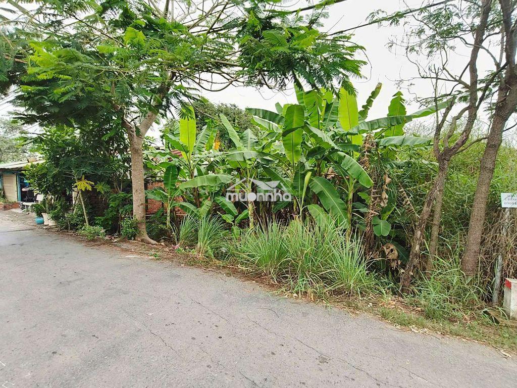 Bán đất mt đường hóc hưu, qui đức,  bình chánh. 180m² đất cln, 1,4 tỷ - Ảnh 4