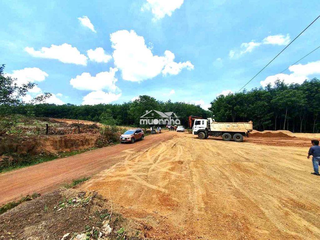 Chính chủ đang ngộp ngân hàng cần bán gấp  1.8 ha đất vườn - Ảnh 2