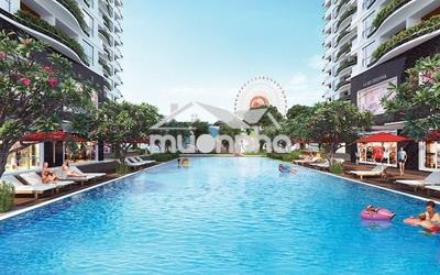 ⭐️⭐️⭐️Cần cho thuê căn hộ lotus riverside phúc khang  - Ảnh 3