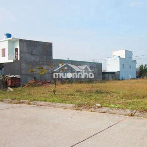 Tối muốn bán đất 14m x 40m 560m2 đất xây nhà ở củ chi. giá 1,4 tỷ.