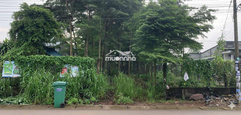 🏡 Bán đất thổ cư kèm vườn - hưng thịnh, trảng bom - 3