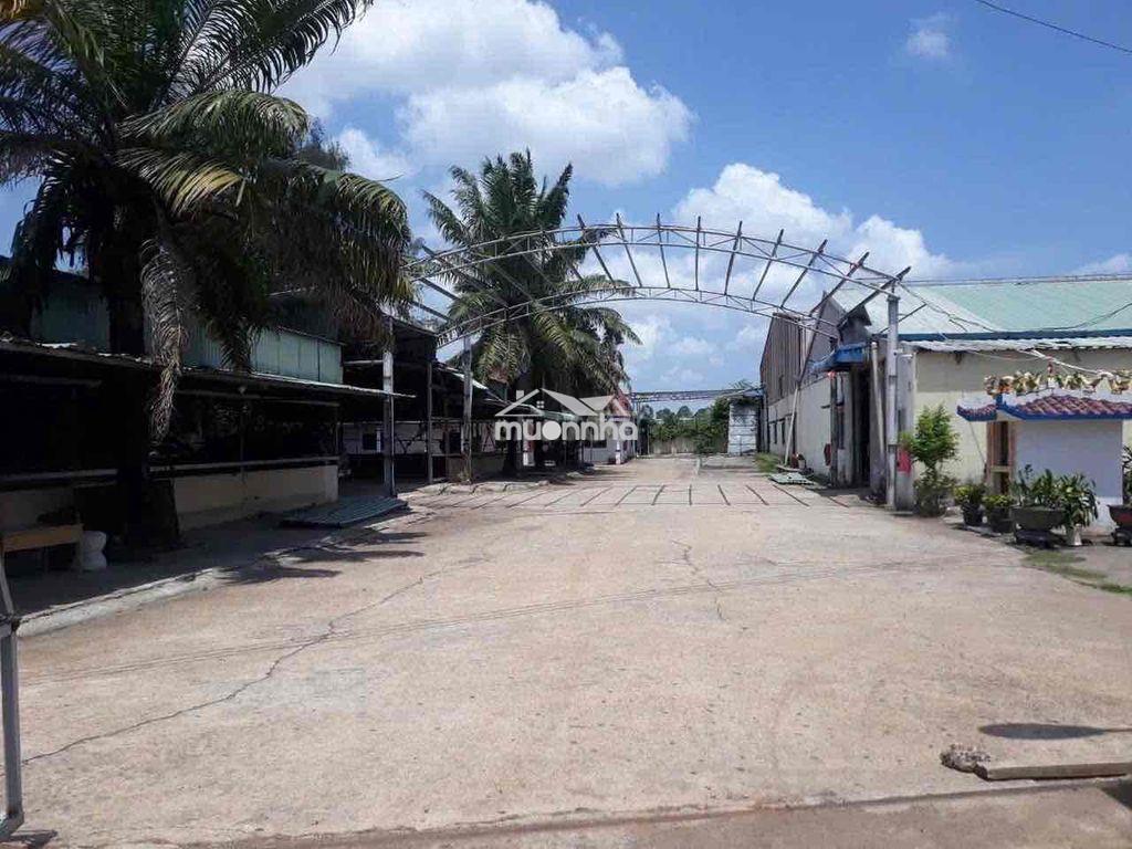 Xưởng cho thuê giá quá hạt dẻ 220tr 4000m - Ảnh 3