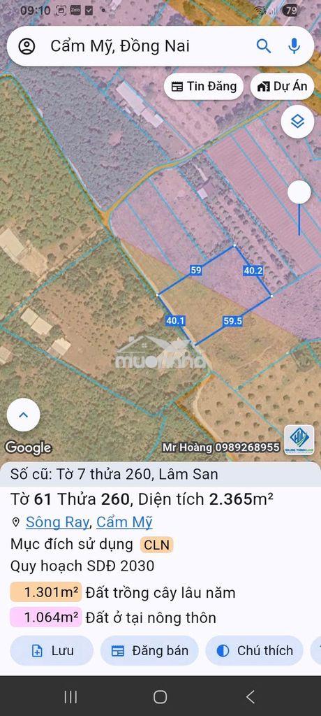 Bán đất mặt tiền oto - Ảnh 2
