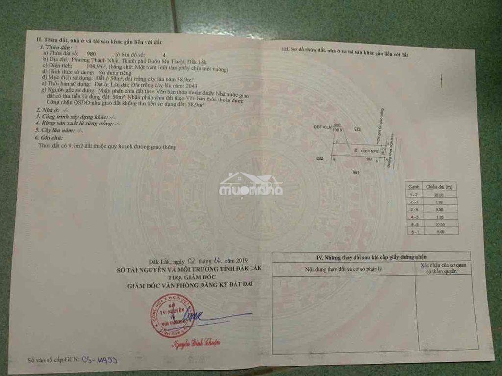 Đất tc hẻm triệu quang phục gần chợ thành nhất 5x22 1,45 tỷ đương nhua - Ảnh 3