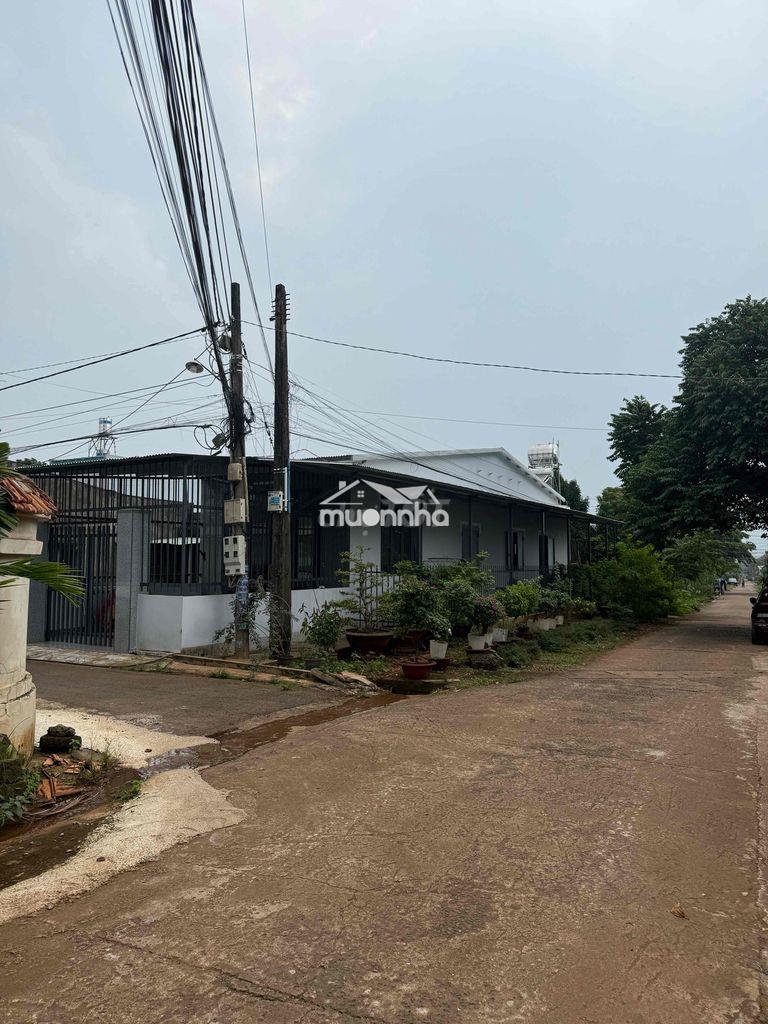 Kẹt bank bán gấp 129m2 full thổ.đường nhựa phường xuân lập, đồng nai - Ảnh 4