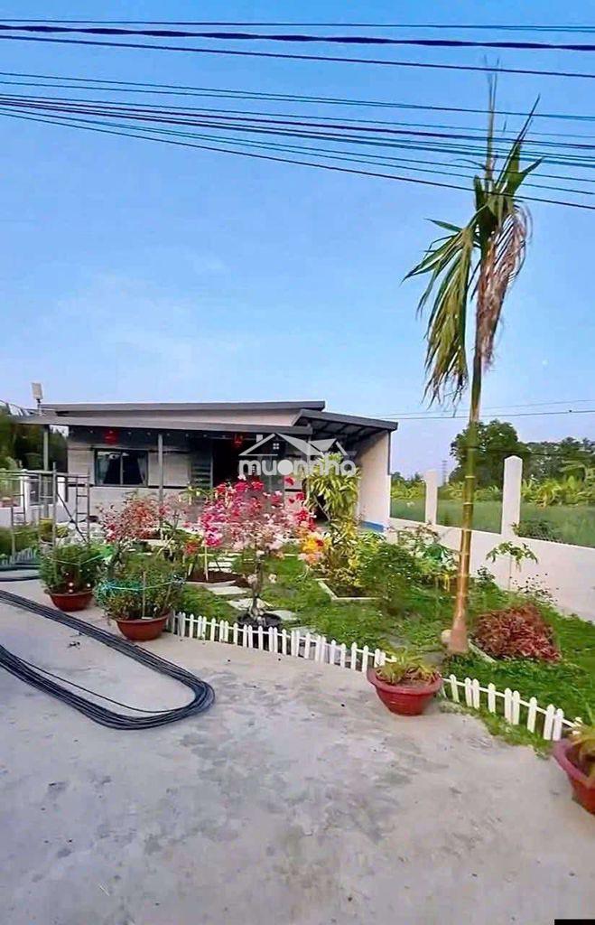 Bán gấp tặng nhà vườn 390đ