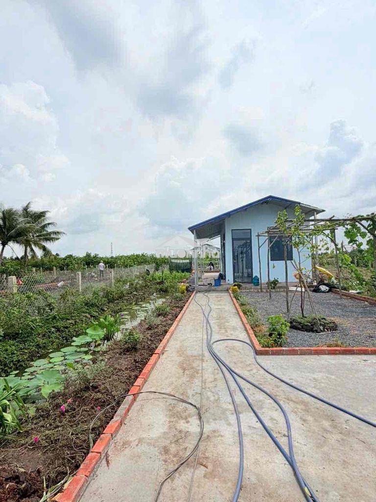Nhà vườn quá đẹp - 2