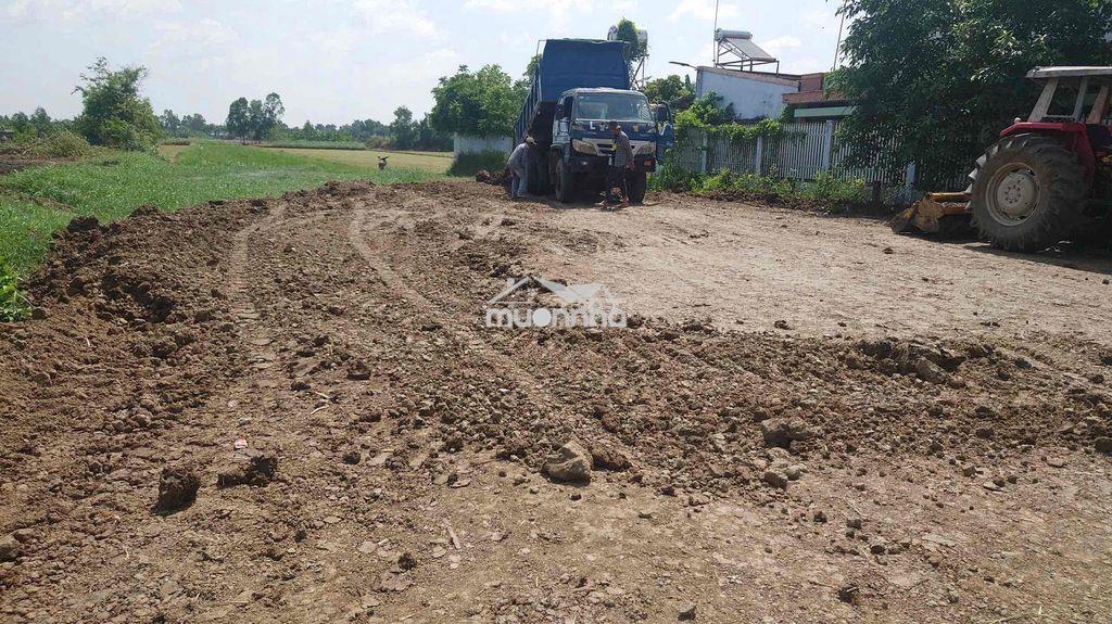 Cho thuê 5000m2 mặt tiền ql50 làm bãi xe nhà xưởng kho lạnh - Ảnh 3