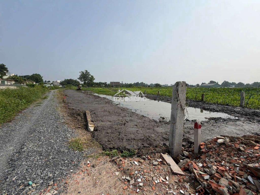 1300m2 đất nông nghiệp nguyễn thị ngâu vài 100m, chỉ 2.99 tỷ - Ảnh 3