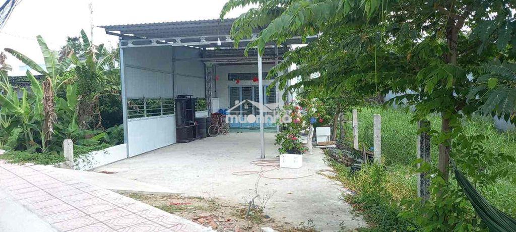 Cầm bán gấp nhà và đất lộ 10m bông vang trường tiền - Ảnh 4