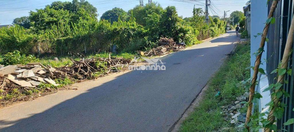 Cho thuê kho xưởng hòa lợi bến cát - Ảnh 2