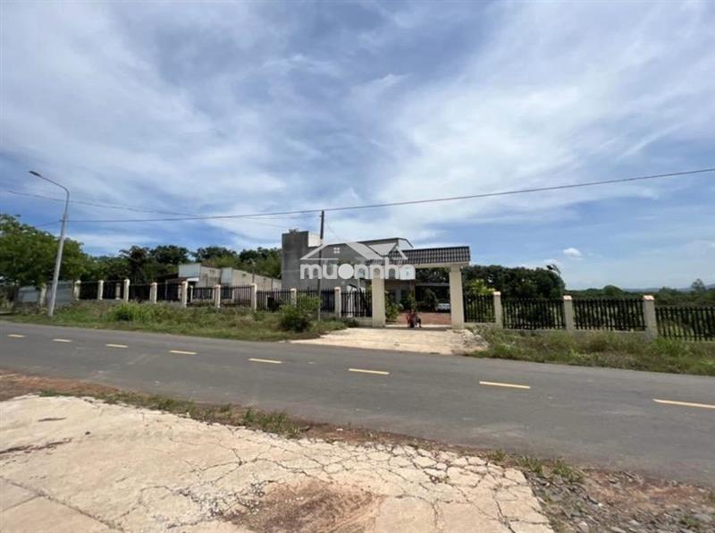 Chính chủ cần bán gấp- nhà yến-đất