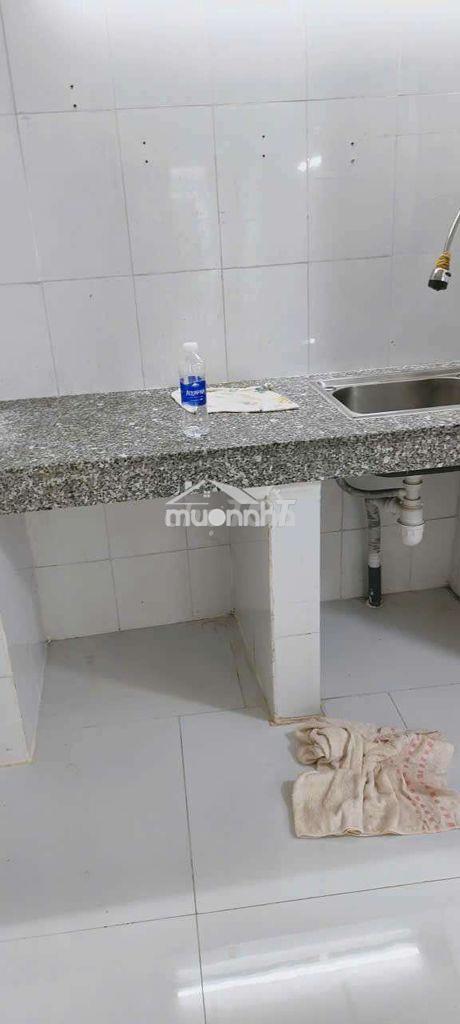 Cho thuê nhà nguyên căn hẻm nguyễn thị xiếu, gần cầu tân thuận - Ảnh 3