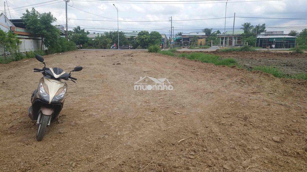 Cho thuê 5000m2 mặt tiền ql50 làm bãi xe nhà xưởng kho lạnh - Ảnh 2