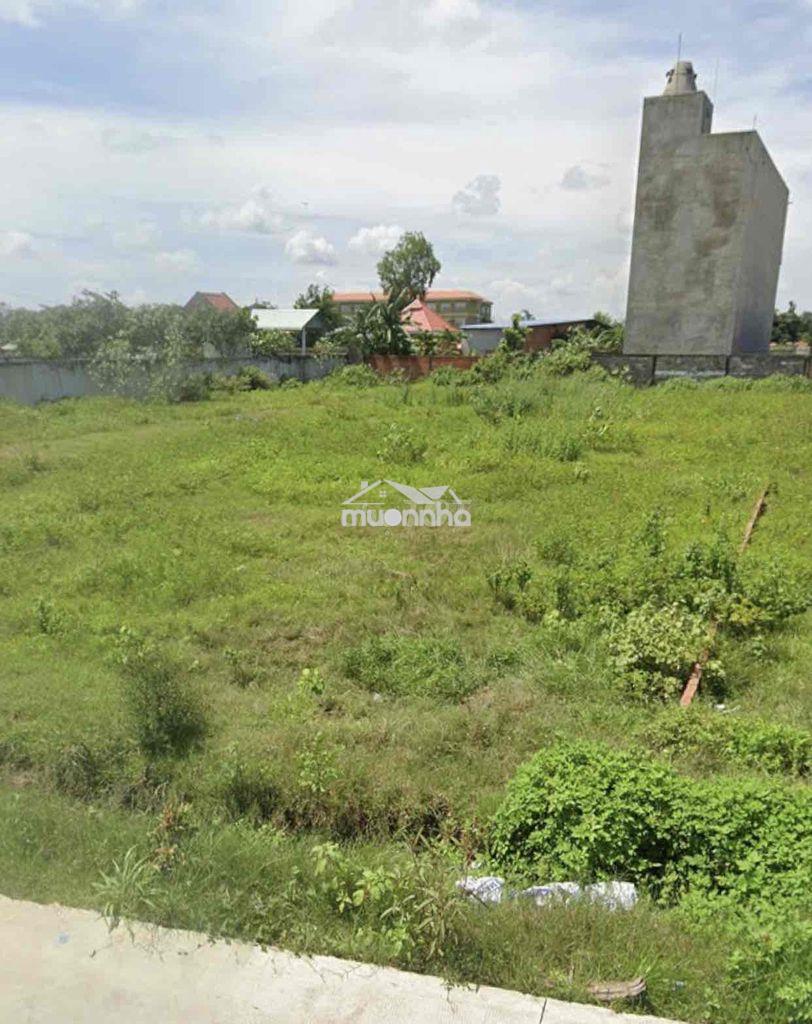 Đất đẹp full thổ gần vinhomes đh - Ảnh 2