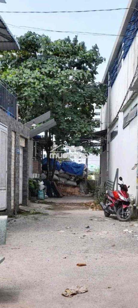 Đất bán 5m x 15m khu c12, xã tân kiên, bình chánh - 2