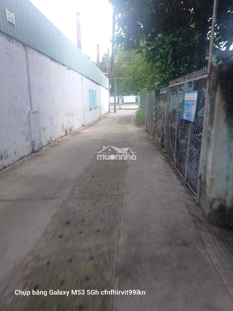 Nhà phú hoà cho thuê chỉ 4tr5
