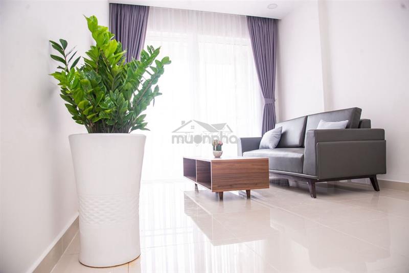 Cho thuê căn hộ chung cư phú thọ, q11, 65m2, 2pn, 10tr