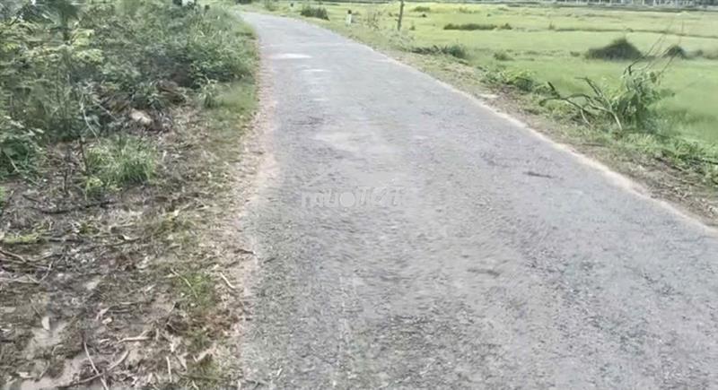 Bán đất giá rẻ
