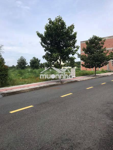 Chủ kẹt tiền ra gấp lô đất 1400m2 sau lưng chợ chính trường học kcn - Ảnh 2