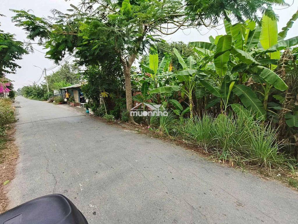 Bán đất mt đường hóc hưu, qui đức,  bình chánh. 180m² đất cln, 1,4 tỷ - Ảnh 2