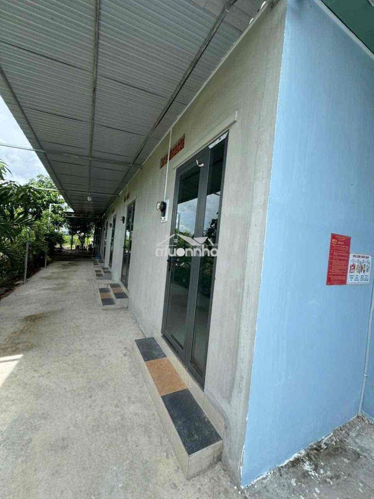 Nhà vườn 2xào có thổ cư hiện 7p trọng đang cho thuê - Ảnh 3