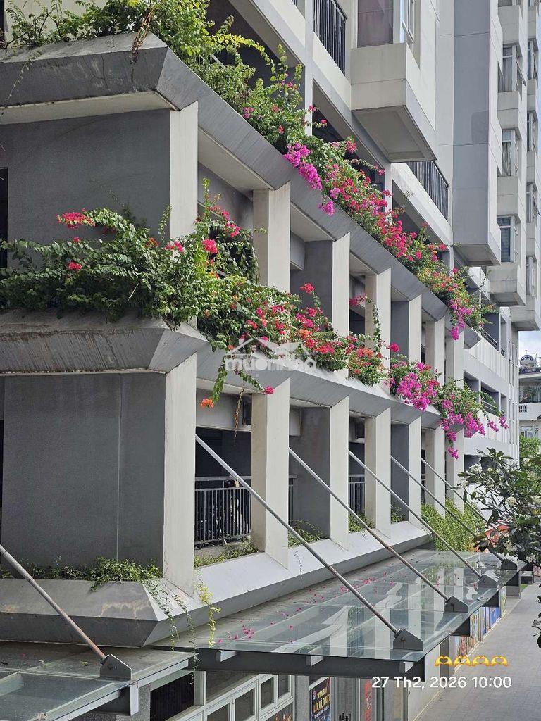 💥Ch himlam phú đông bán gấp.
 giá: 3.2 tỉ thương lượng trực tiếp chủ - Ảnh 2