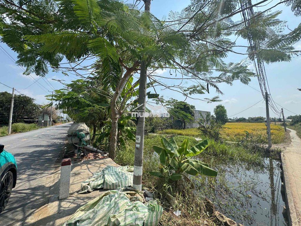 Cần bán mt kênh 19/5,gần trạm y tế tân lân, trường học th & cơ sở - Ảnh 2