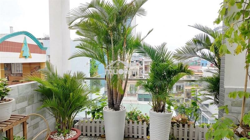 Hồng bàng–vòng xoay cây gõ–hxh –45m² nở hậu– 4tầng mới đẹp–chỉ 6t68