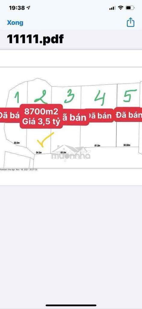 Em chính chủ gởi bán lô vườn bưởi 8700m2, trên đất trồng bưởi 7 năm - Ảnh 2