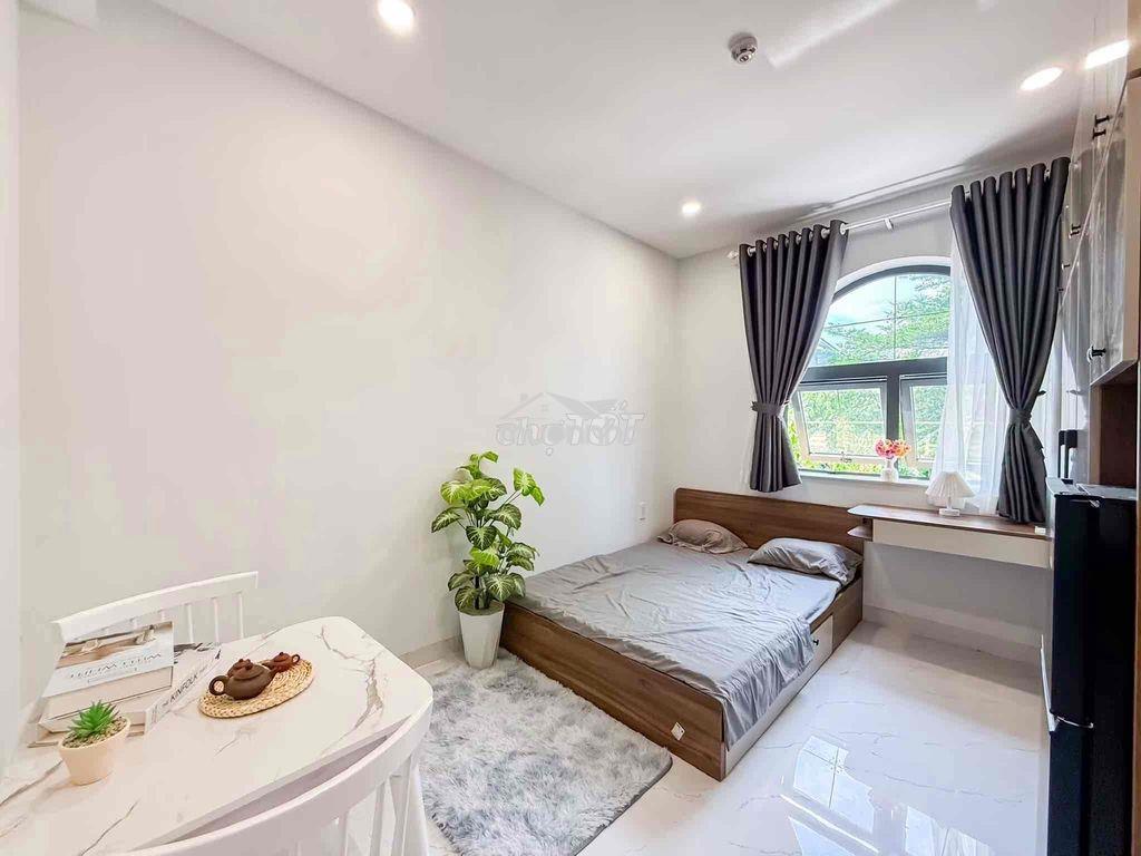 Căn full nội thất new 100% _ ngay huit, văn hiến, khu cn tân bình - Ảnh 3