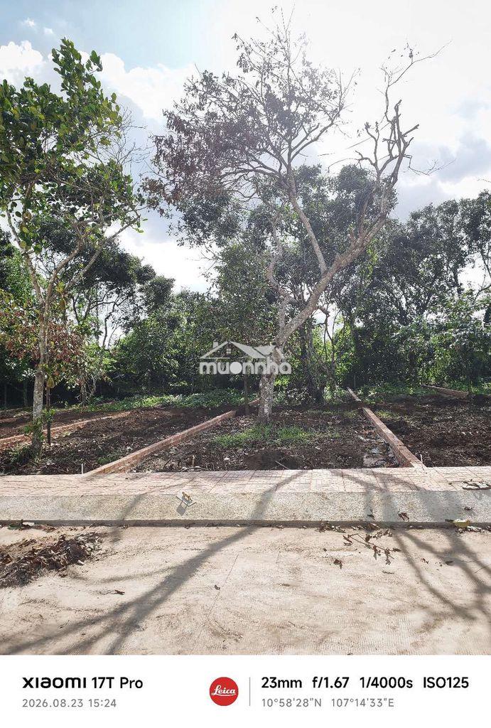 Đất nền p. bình lộc đường bê tông rộng 16m với 135m2 thổ cư sổ riêng - Ảnh 4