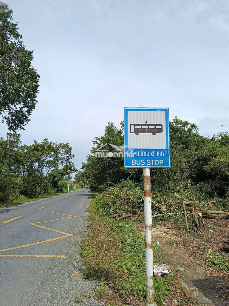 Bán đất cà mau xã khánh an huyện u minh - Ảnh 3