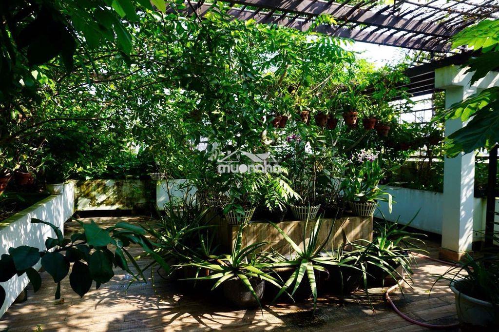Bán villa nguyễn trọng tuyển tân bình 9,5x15m 4lầu 38tỷ có thang máy - Ảnh 3
