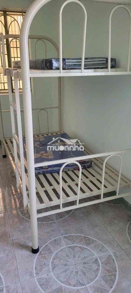 Nguyên căn lý chính thắng q3 (4x11)2 lầu 3p3wc - Ảnh 3