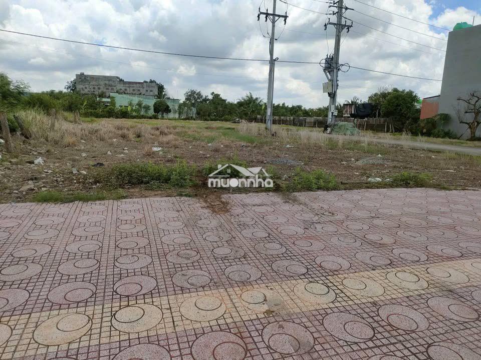 Bán đất nền dự án đường nguyễn trãi, phường long thuận, đồng tháp - Ảnh 2