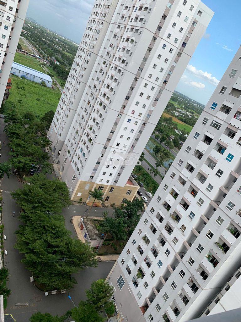 Bán căn hộ sổ hồng riêng giá 1.450 tỷ tại hqc plaza,sang tên ngay - Ảnh 2