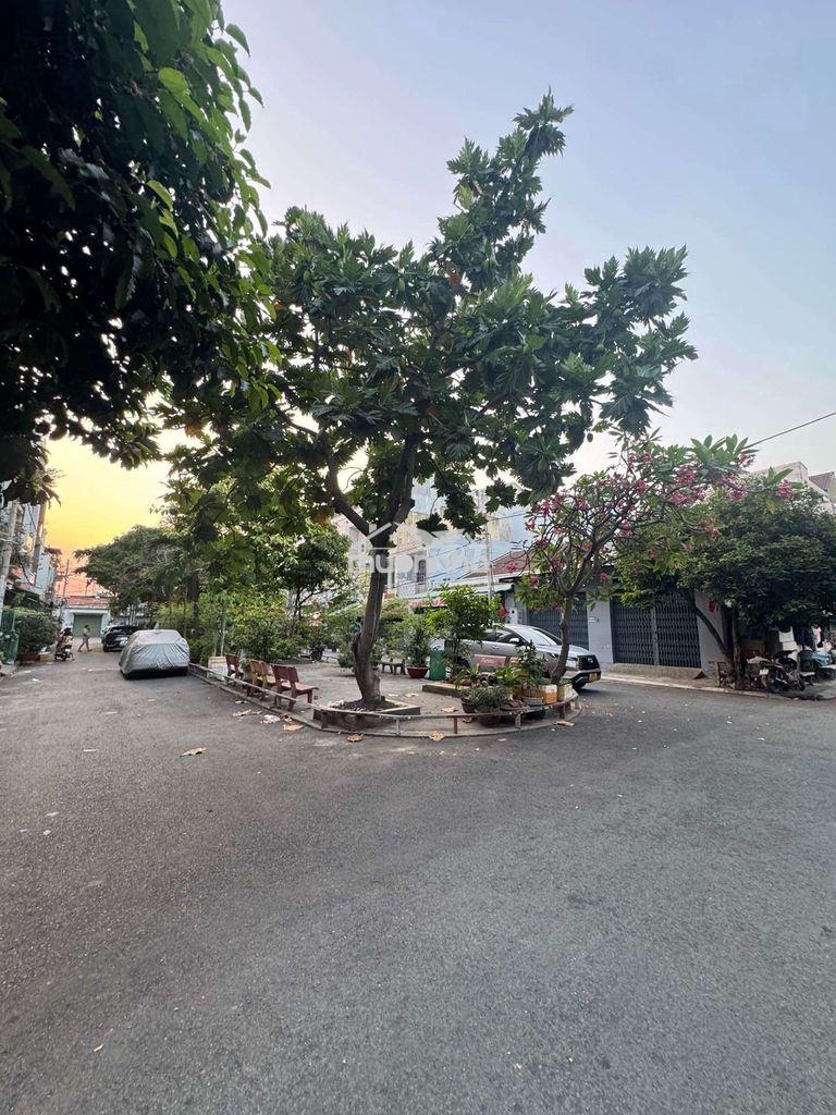 Hẻm xe tải tân hoà đông view công viên 4x20 vuông vức chỉ 6,6 tỷ - Ảnh 3