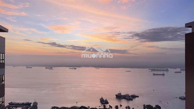 Cho thuê căn 1-2-3pn q7 saigon riverside 4 đào trí nhiều căn lựa chọn